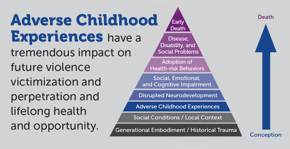 Adverse Childhood Experiences have a tremendous impact on future violence, victimization and perpetration, and lifelong health opportunity.