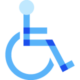 Accessibility Icon