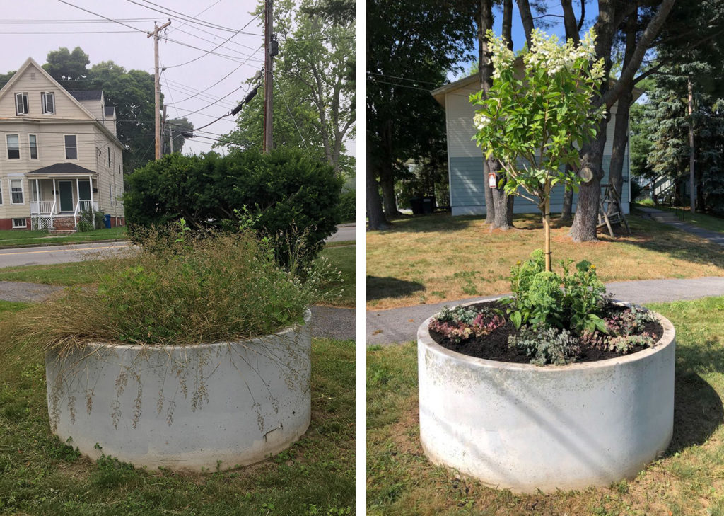 Washington Gardens Planter Before and After