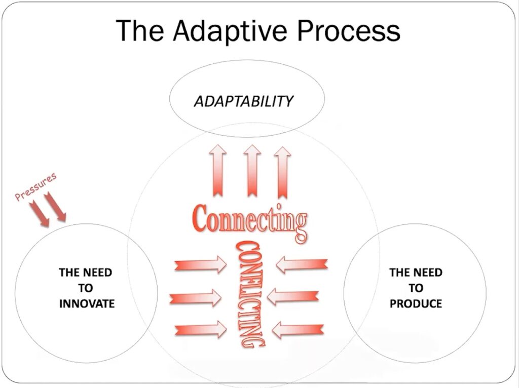 Adaptive Space - Mary Uhl-Bien