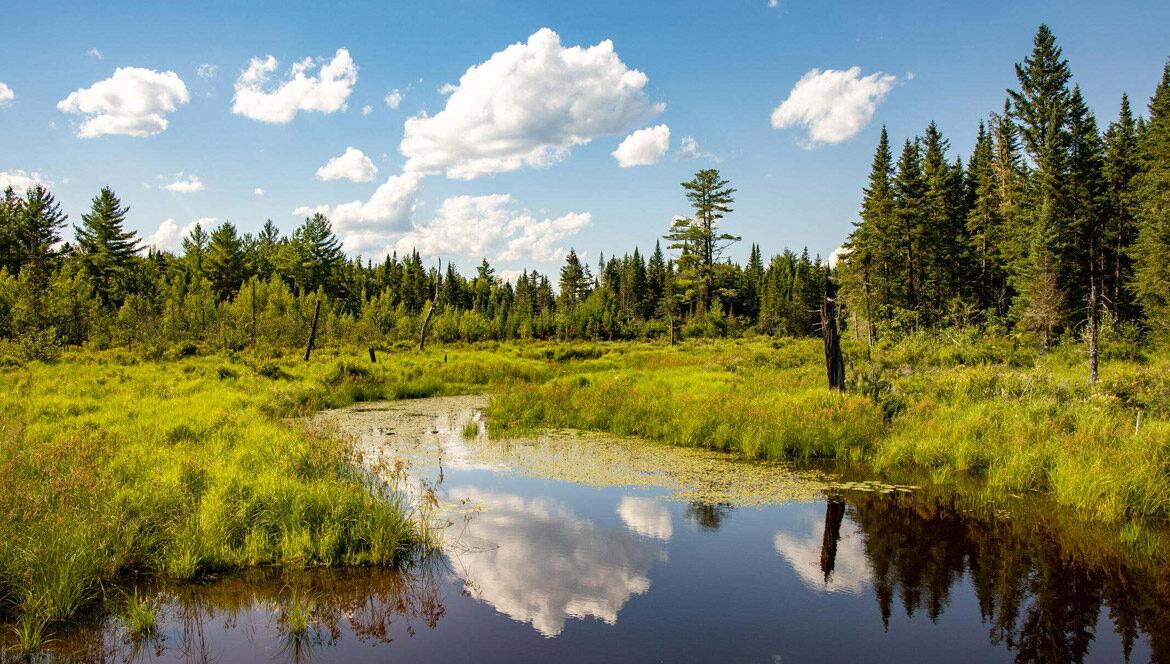 Maine river, sky, and tree scene