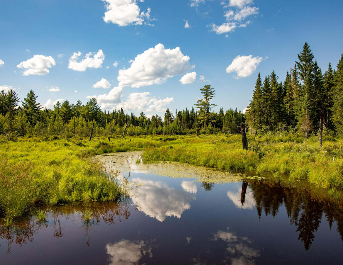 Nature Conservancy Resource Portal – GovWebworks