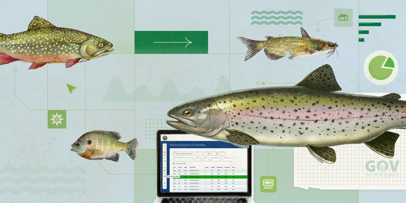 Illustration of lake trout, bass, catfish, and rainbow trout