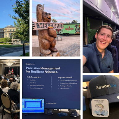 Collage of photos showing people and places in Boise during the WAFWA 2026 summer meeting