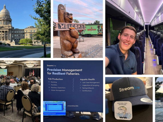 Collage of photos showing people and places in Boise during the WAFWA 2026 summer meeting