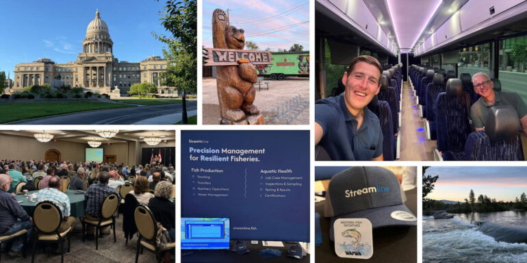 Collage of photos showing people and places in Boise during the WAFWA 2026 summer meeting